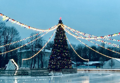 «Новогодние каникулы в Петербурге»